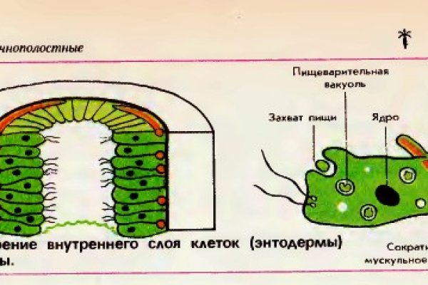 Кракен маркетплейс телеграм