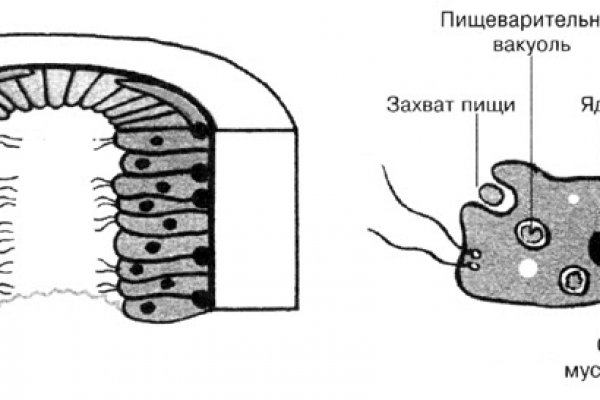 Кракен наркокортель