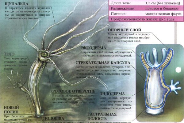 Кракен сайт kr2web in